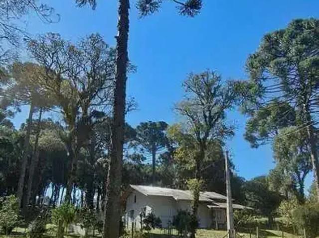 Sítio / Chácara para Venda em Campo Alegre/SC Bateias de Baixo 3 Quartos
