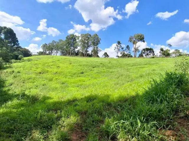 Sítio / Chácara para Venda em Campo Alegre/SC Fragosos