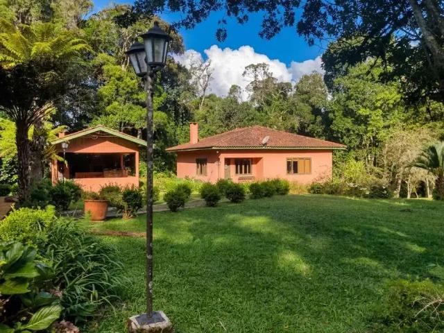 Sítio / Chácara para Venda em Campo Alegre/SC São Miguel 5 Quartos