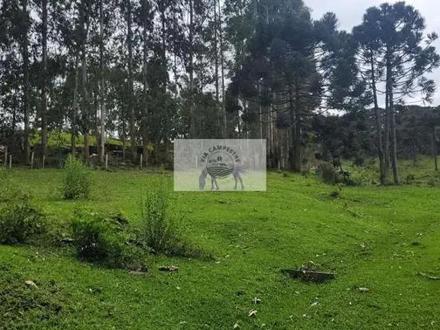 Sítio / Chácara para Venda em Campo Alegre/SC São Miguel 2 Quartos