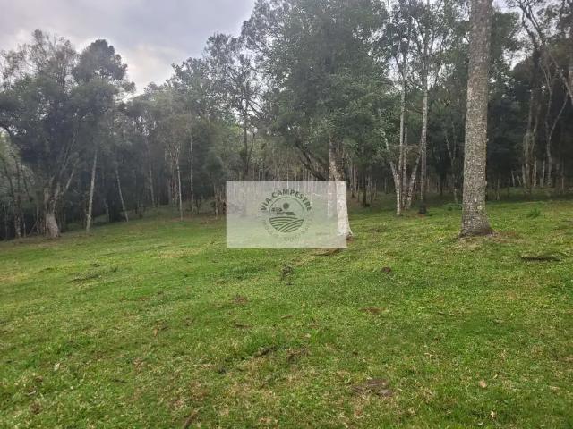 Sítio / Chácara para Venda em Campo Alegre/SC Serrinha 1 Quartos
