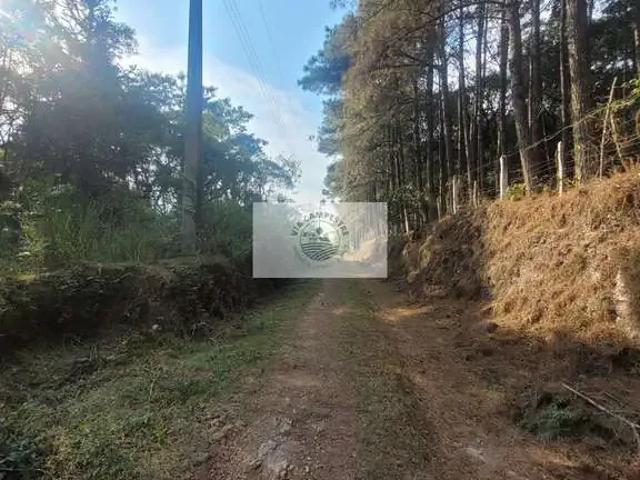 Sítio / Chácara para Venda em Campo Alegre/SC Rio Vermelho 1 Quartos
