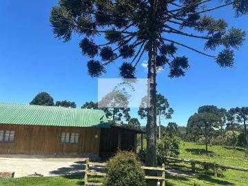 Sítio / Chácara para Venda em Campo Alegre/SC Rio Vermelho 1 Quartos