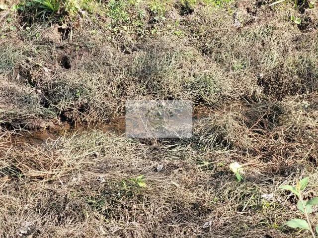 Sítio / Chácara para Venda em Campo Alegre/SC Zona Rural 1 Quartos