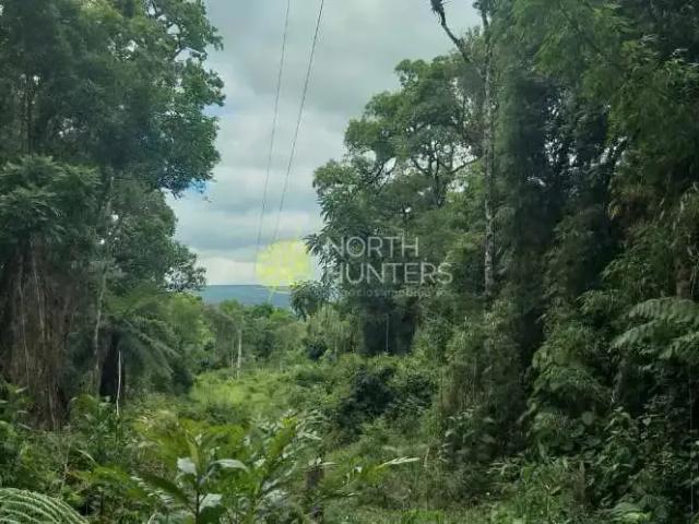 Sítio / Chácara para Venda em Campo Alegre/SC Zona Rural 1 Quartos