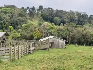 Sítio / Chácara para Venda em Campo Alegre/SC Zona Rural 1 Quartos