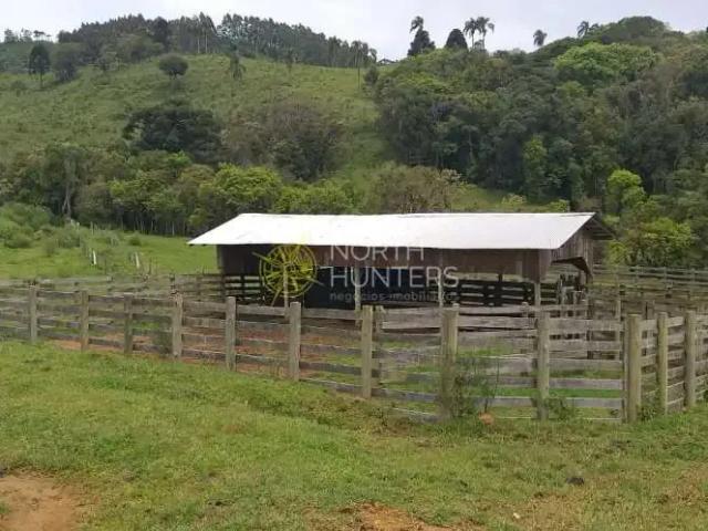 Sítio / Chácara para Venda em Campo Alegre/SC Zona Rural 1 Quartos