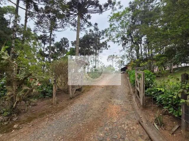 Sítio / Chácara para Venda em Campo Alegre/SC Zona Rural 2 Quartos
