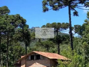 Monte à venda em Campo Alegre, Alagoas - Churrasqueira