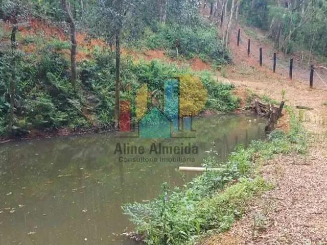 Sítio / Chácara para Venda em Campo Alegre/SC Zona Rural