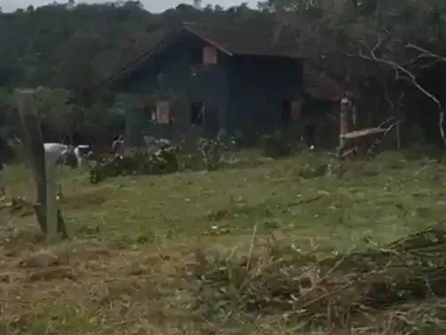 Sítio / Chácara para Venda em Campo Alegre/SC Zona Rural 3 Quartos