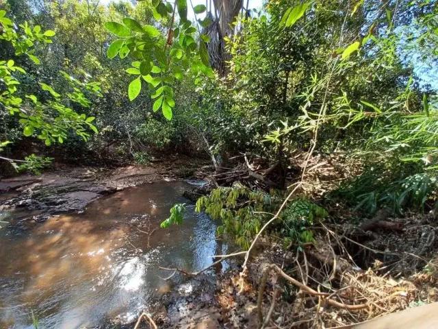 Sítio / Chácara para Venda em Campo Grande/MS Chácara dos Poderes 8 Quartos