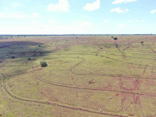 Sítio / Chácara para Venda em Campo Grande/MS Pioneiros