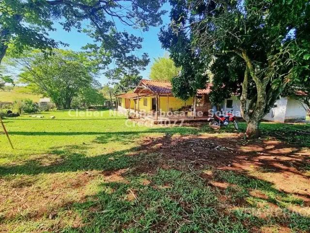 Sítio / Chácara para Venda em Campo Grande/MS Zona Rural 4 Quartos