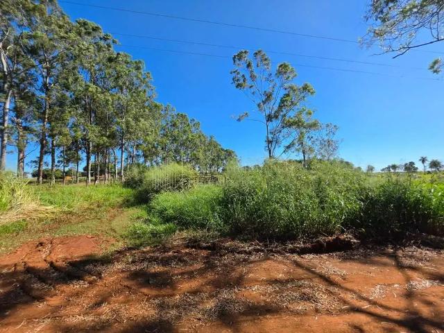 Sítio / Chácara para Venda em Campo Grande/MS Zona Rural