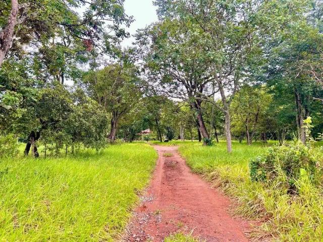 Sítio / Chácara para Venda em Campo Grande/MS Zona Rural 3 Quartos