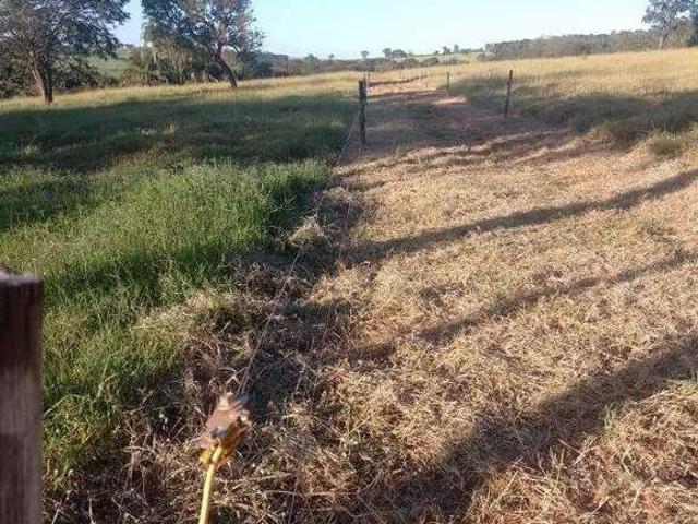 Sítio / Chácara para Venda em Campo Florido/MG Zona Rural
