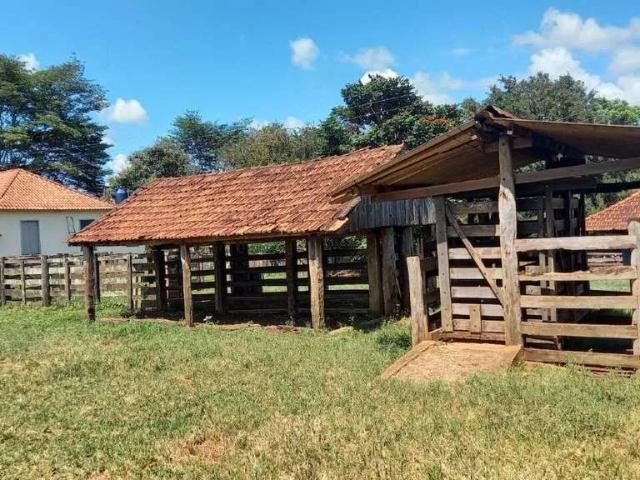 Sítio / Chácara para Venda em Campo Florido/MG Zona Rural