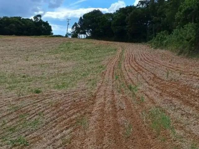 Sítio / Chácara para Venda em Campo Largo/PR Bateias