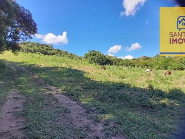 Sítio / Chácara para Venda em Campo Largo/PR Bateias