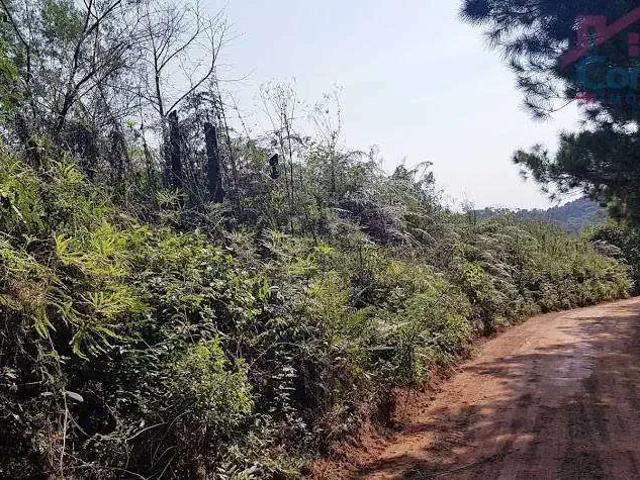 Sítio / Chácara para Venda em Campo Largo/PR Bateias