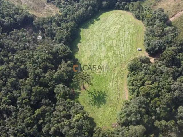 Sítio / Chácara para Venda em Campo Largo/PR Colônia Balbino Cunha 1 Quartos