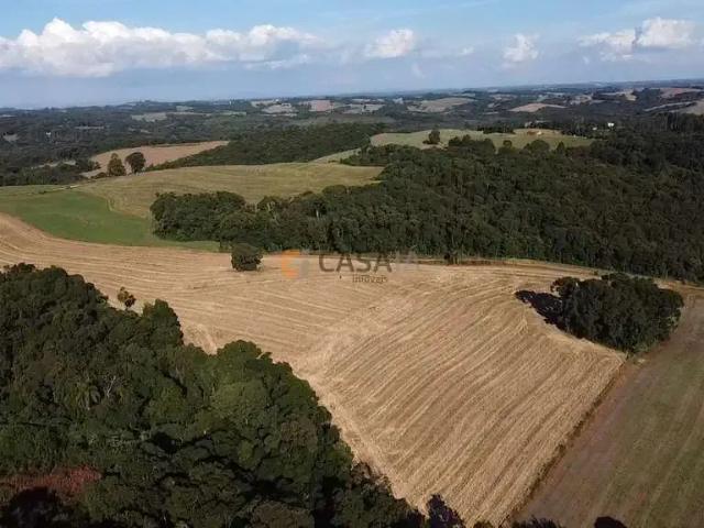 Sítio / Chácara para Venda em Campo Largo/PR Colônia Balbino Cunha 1 Quartos