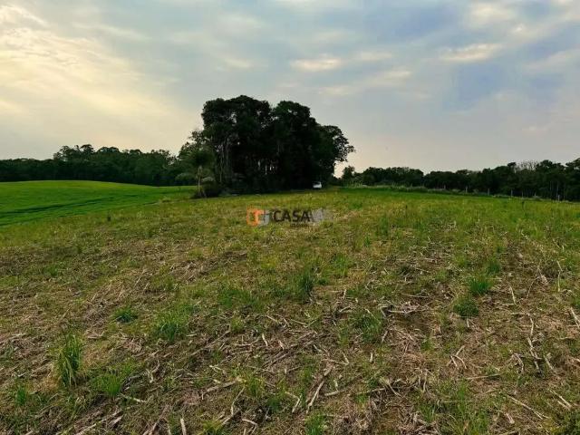 Sítio / Chácara para Venda em Campo Largo/PR Colônia Balbino Cunha 1 Quartos