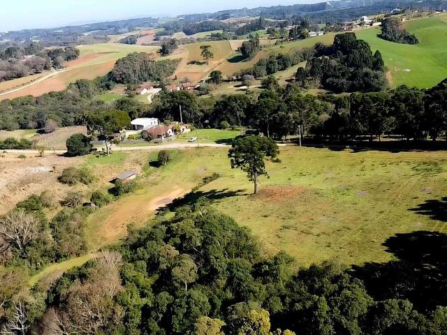 Sítio / Chácara para Venda em Campo Largo/PR Colônia Figueiredo