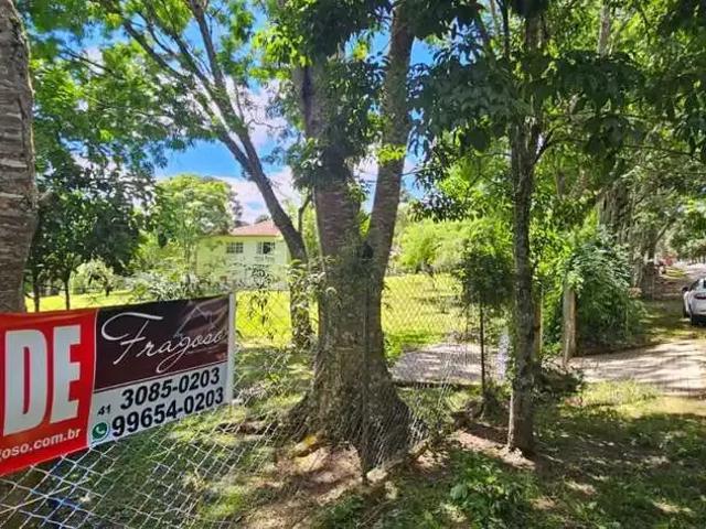 Sítio / Chácara para Venda em Campo Largo/PR Fazendinha 3 Quartos