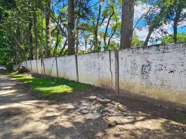 Sítio / Chácara para Venda em Campo Largo/PR Fazendinha