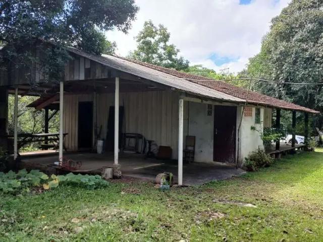 Sítio / Chácara para Venda em Campo Largo/PR Itambé 3 Quartos