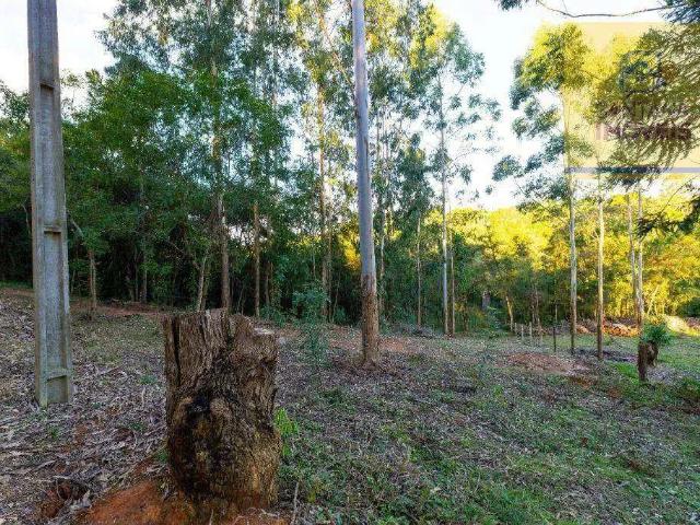 Sítio / Chácara para Venda em Campo Largo/PR Jardim Florestal 1 Quartos