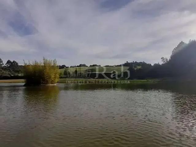 Sítio / Chácara para Venda em Campo Largo/PR Jardim Florestal