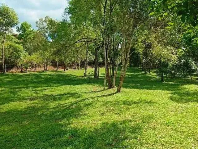 Sítio / Chácara para Venda em Campo Largo/PR São João do Povinho