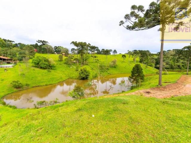 Sítio / Chácara para Venda em Campo Largo/PR Salgadinho 4 Quartos