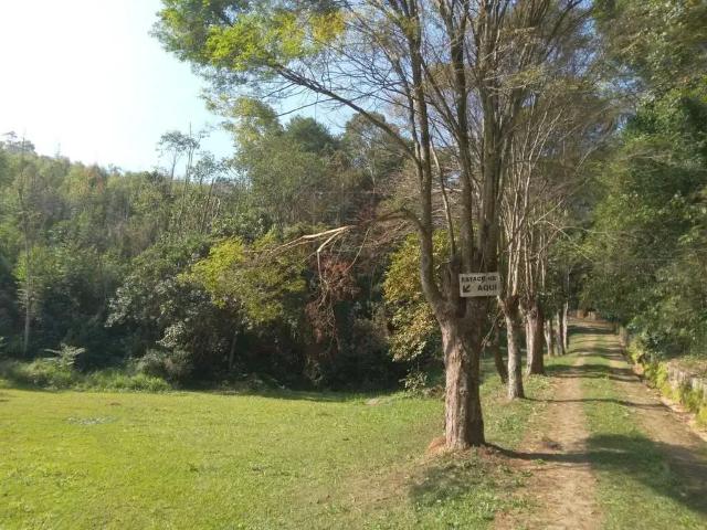 Sítio / Chácara para Venda em Campo Limpo Paulista/SP Chácara São João