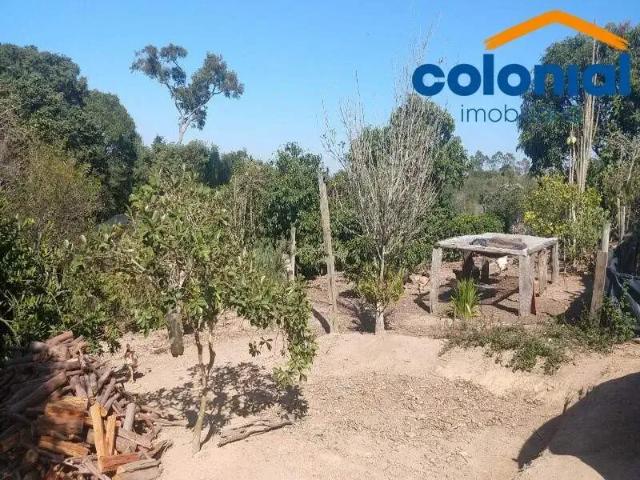 Sítio / Chácara para Venda em Campo Limpo Paulista/SP Pau Arcado 3 Quartos