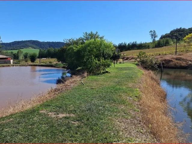 Sítio / Chácara para Venda em Campo Mourão/PR Área Rural de Campo Mourão 3 Quartos