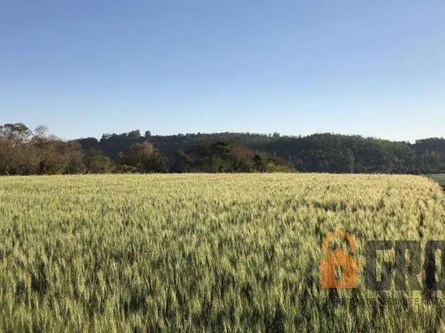 Sítio / Chácara para Venda em Campo Mourão/PR Área Rural de Campo Mourão