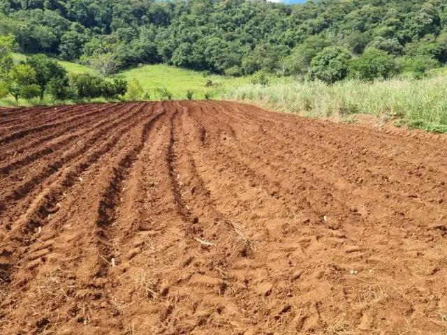 Sítio / Chácara para Venda em Campo Mourão/PR Área Rural de Campo Mourão 2 Quartos