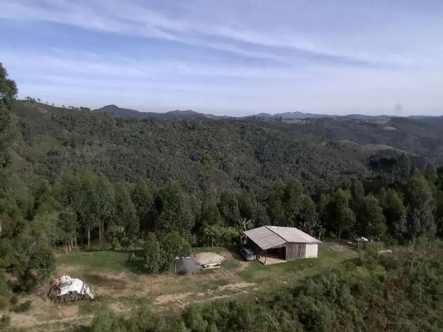 Sítio / Chácara para Venda em Campo Magro/PR Zona Rural 2 Quartos