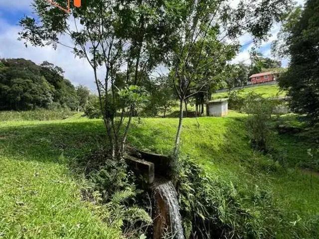 Sítio / Chácara para Venda em Campo Magro/PR Zona Rural