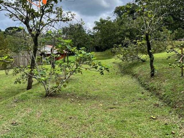Sítio / Chácara para Venda em Campo Magro/PR Zona Rural