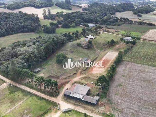 Sítio / Chácara para Venda em Campo Magro/PR Campo de São Benedito 4 Quartos