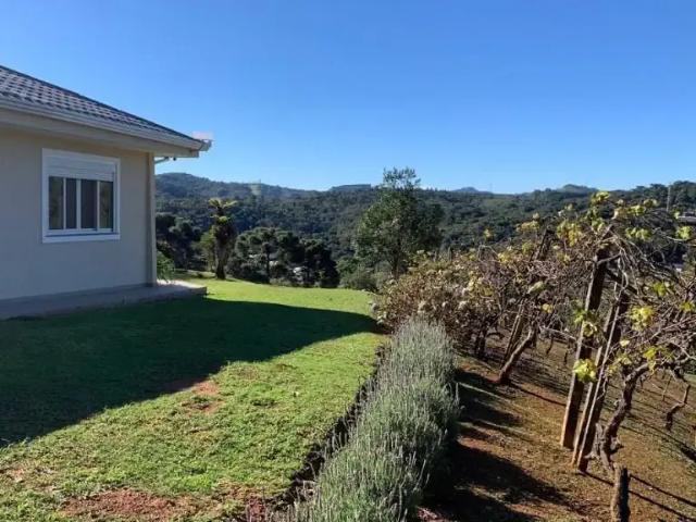 Sítio / Chácara para Venda em Campo Magro/PR Centro 3 Quartos