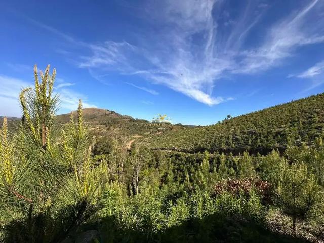 Sítio / Chácara para Venda em Campo Magro/PR Centro 1 Quartos