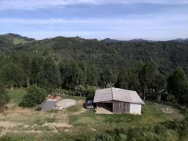 Sítio / Chácara para Venda em Campo Magro/PR Centro 2 Quartos