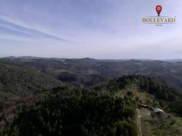 Sítio / Chácara para Venda em Campo Magro/PR Centro 2 Quartos