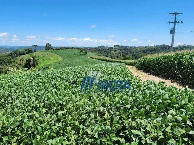 Sítio / Chácara para Venda em Campo Magro/PR Ouro Fino de Baixo 2 Quartos